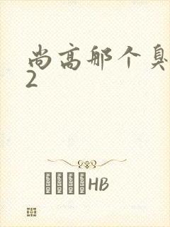 尚高那个臭小子2