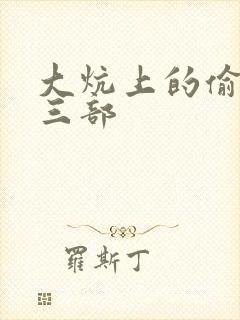 大炕上的偷乱第三部