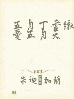 五月丁香缴情深爱五月天