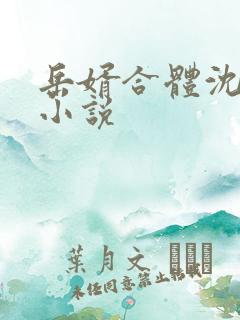 岳婿合体沈绝的小说