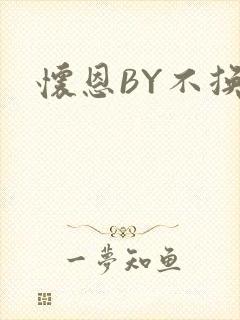 怀恩BY不换