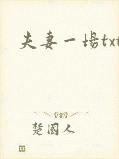 夫妻一场txt
