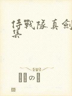 侍战队真剑者全集