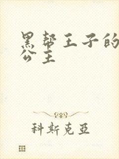 黑帮王子的淘气公主