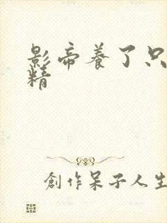 影帝养了只玫瑰精