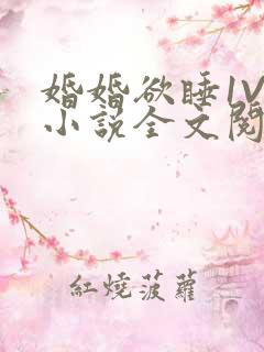 婚婚欲睡1V1小说全文阅读