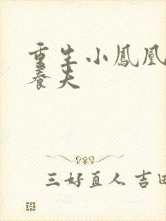 重生小凤凰的童养夫