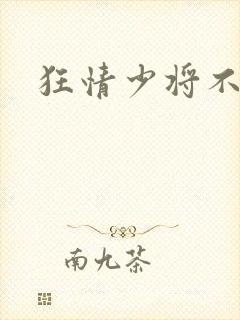 狂情少将不良妻