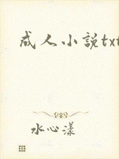 成人小说txt