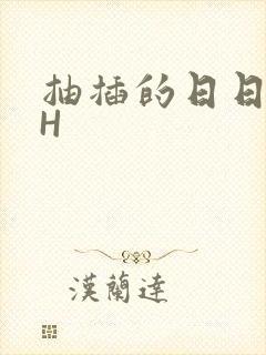 抽插的日日液液H