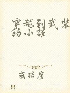 穿越到武装少女的小说