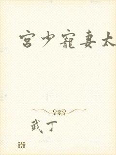 宫少宠妻太凶猛