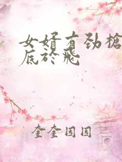 女婿有劲枪枪到底于飞