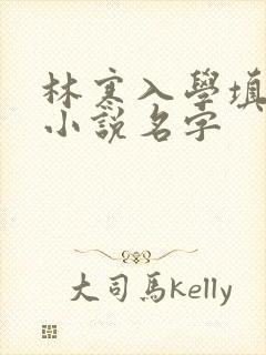 林寒入学填未婚小说名字
