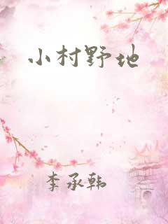 小村野地