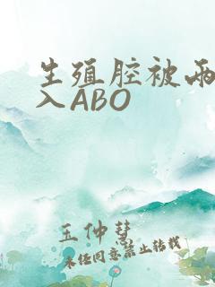 生殖腔被两根进入ABO