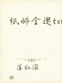 纸醉金迷txt