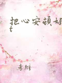 把心安顿好txt