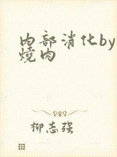 内部消化by红烧肉