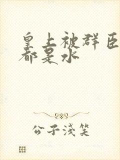 皇上被群臣干的都是水