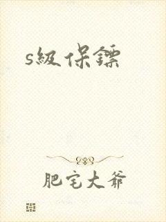 s级保镖