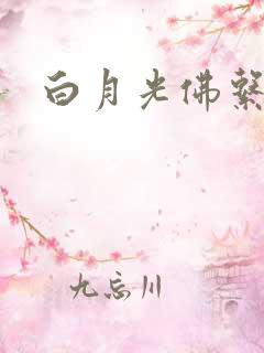 白月光佛系日常