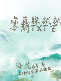 你再躲试试BY今闲TXT百度网盘