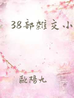 38部杂交小说