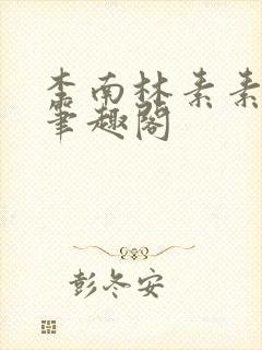 李南林素素小说笔趣阁