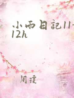 小雨日记11-12h
