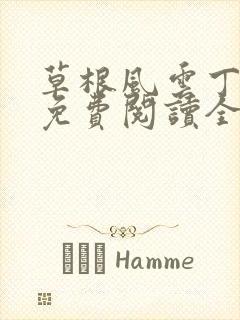 草根风云丁长生免费阅读全本