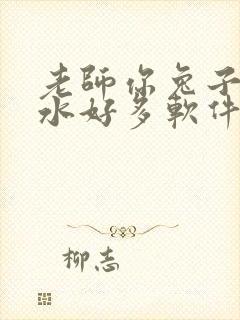 老师你兔子好软水好多软件