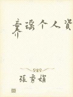 童瑶个人资料简介