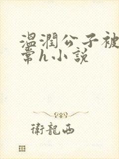 温润公子被脔日常h小说