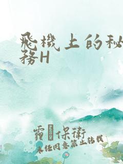 飞机上的秘密服务H