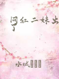 网红二妹出啥事了