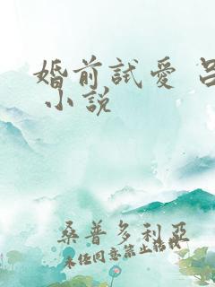 婚前试爱 吕颜 小说
