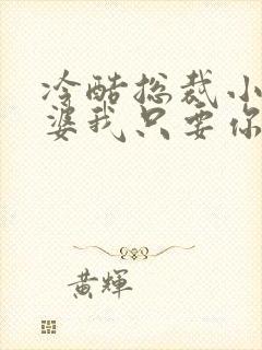 冷酷总裁小小老婆我只要你