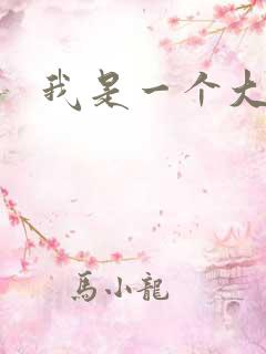 我是一个大盗贼