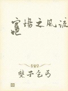 官场之风流人生吧