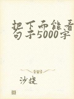 把下面能看湿的句子5000字