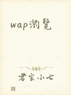 wap浏览
