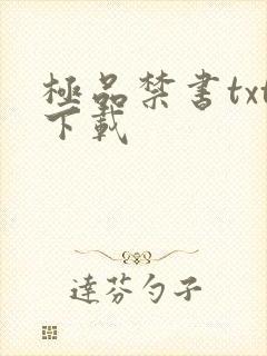 极品禁书txt下载