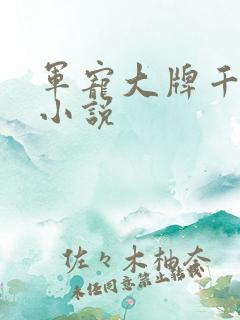 军宠大牌千金 小说