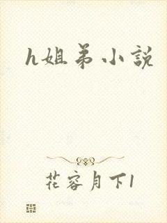 h姐弟小说