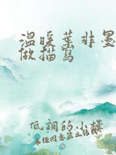 温暖叶非墨车内做描写