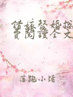 错嫁替婚总裁免费阅读全文