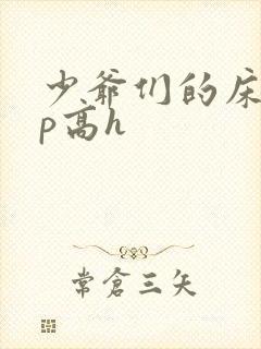 少爷们的床奴np高h