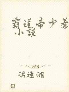 霸道帝少惹不得 小说