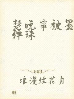 楚晚宁被墨燃塞弹珠